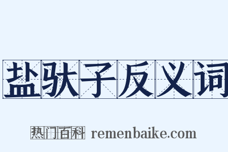 盐驮子反义词是什么意思的图片